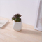Artigos de decoração de mesa em cerâmica branca para vaso de flores mini