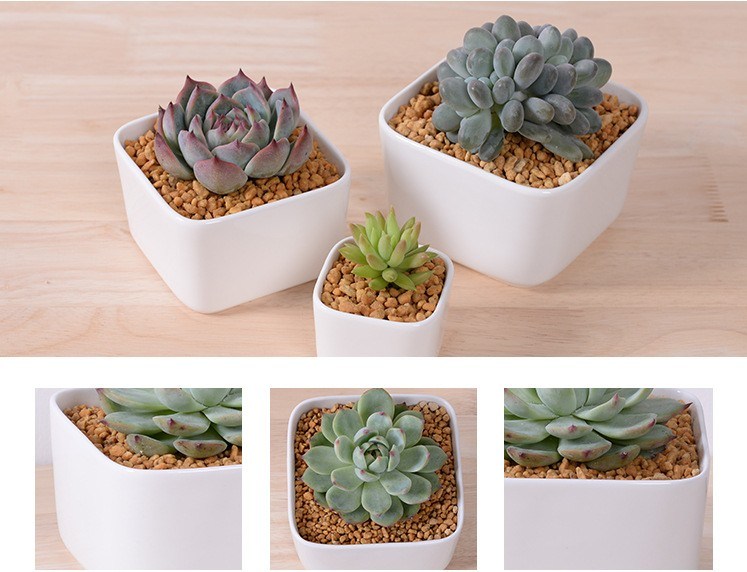 Mesa Mesa Caf&eacute; Circular Grande Cer&acirc;mica Branca Vaso