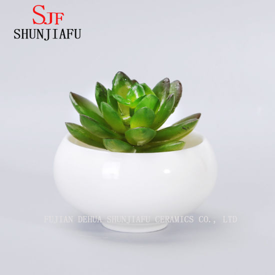 Vaso de flores suculento redondo branco cerâmico de design simples