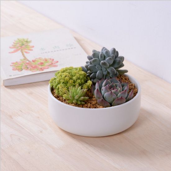Mini barco de oliva cerâmico personalizado em forma de vaso branco