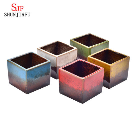 Vasos para plantas Recipientes para vasos de plantas