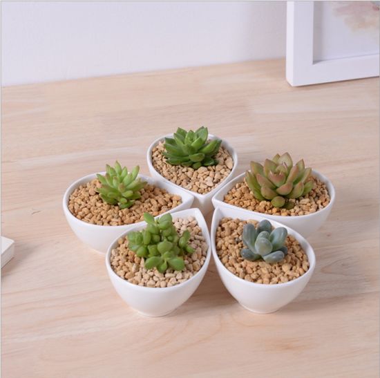 Adorno Característica Personalidade Mesa Com Flores Brancas Pote Pequeno
