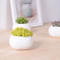 Vaso de cerâmica branco quadrado em miniatura criativa