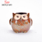 5 Design De Cerâmica Dos Desenhos Animados De Cerâmica Coruja Porcelana Animal Vaso De Flores / C