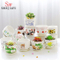 Vaso Cerâmico Plantas Suculentas Vaso Interior Exterior