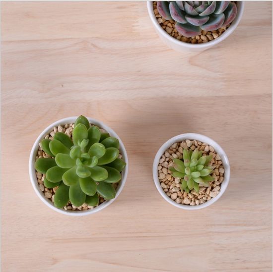 Grande Rodada Mini Vaso de Cerâmica Pequeno