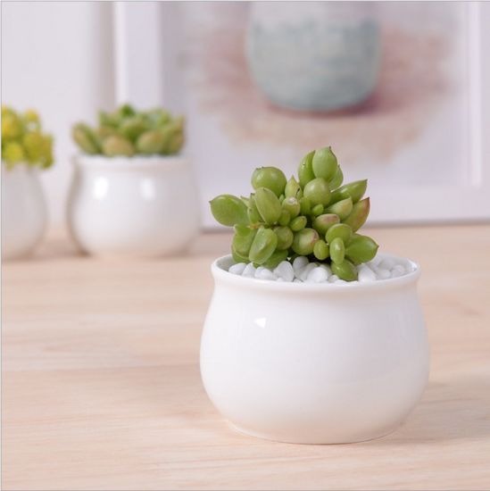 Nome do vaso de flores de cerâmica redondo pequeno: vaso de cerâmica quadrado