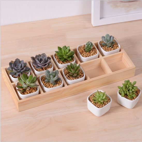 Mesa de lazer com 5 potes de cerâmica com estrutura de treliça