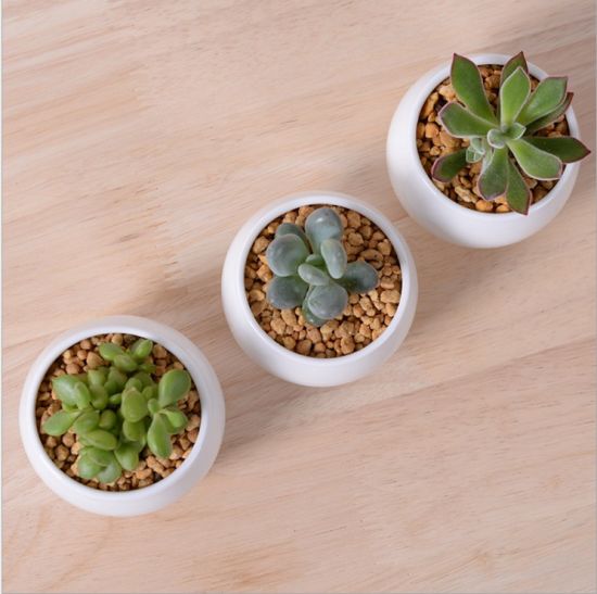 Vaso de mesa combinado com triângulo de cerâmica