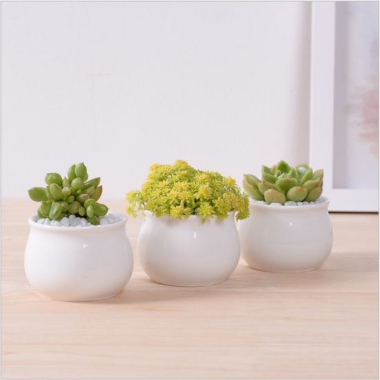 Decoração de mesa criativa Mini vaso de flores de cerâmica redonda branca