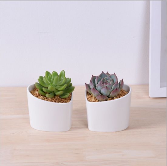 Adorno Característica Personalidade Mesa Com Flores Brancas Pote Pequeno