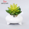 Vaso de flores suculento redondo branco cerâmico de design simples