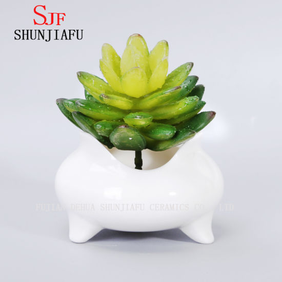 Vaso de flores suculento redondo branco cerâmico de design simples