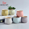 Macaron Cerâmica Cor Planta Carnuda Vasos Pequenos Vaso