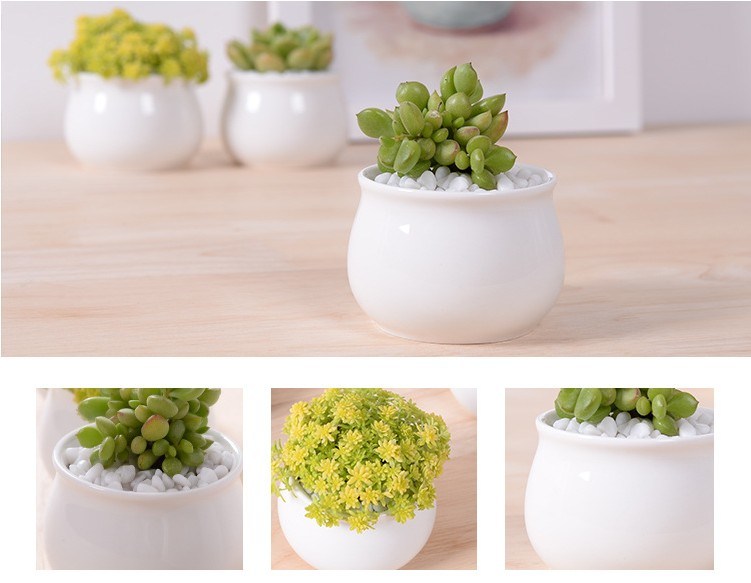 Decora&ccedil;&atilde;o de mesa criativa Mini vaso de flores de cer&acirc;mica redonda branca