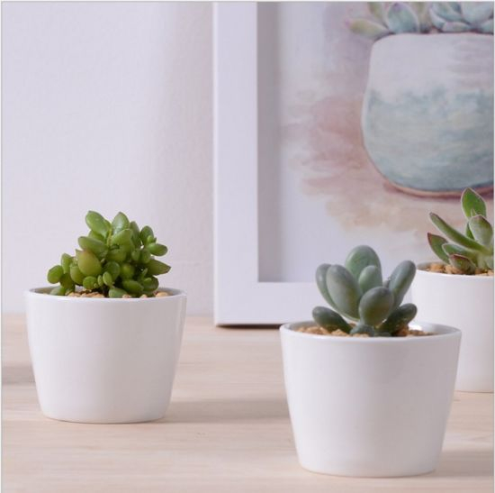 Mini vasos de flores de cerâmica branca decorativa redonda