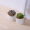 Adorno Característica Personalidade Mesa Com Flores Brancas Pote Pequeno