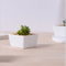 Vaso de cerâmico branco com pratos frios variados em forma de base triangular