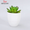 Vaso de flores suculento redondo branco cerâmico de design simples
