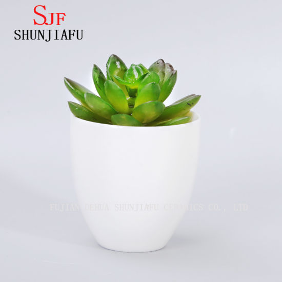 Vaso de flores suculento redondo branco cerâmico de design simples