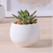 Grande Rodada Mini Vaso de Cerâmica Pequeno