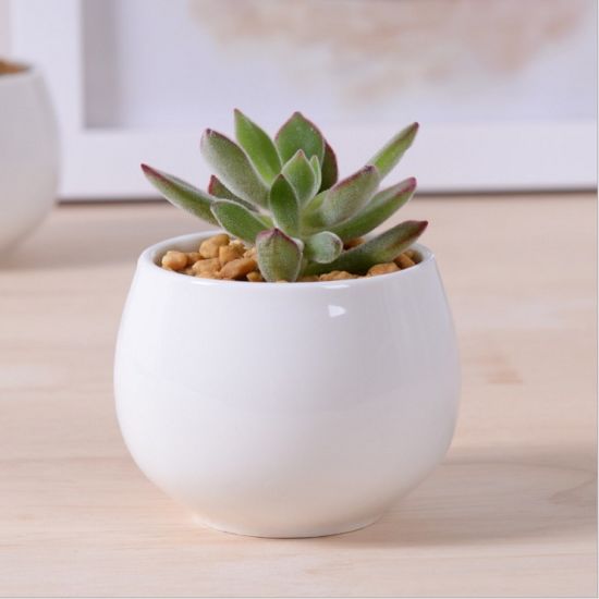 Grande Rodada Mini Vaso de Cerâmica Pequeno