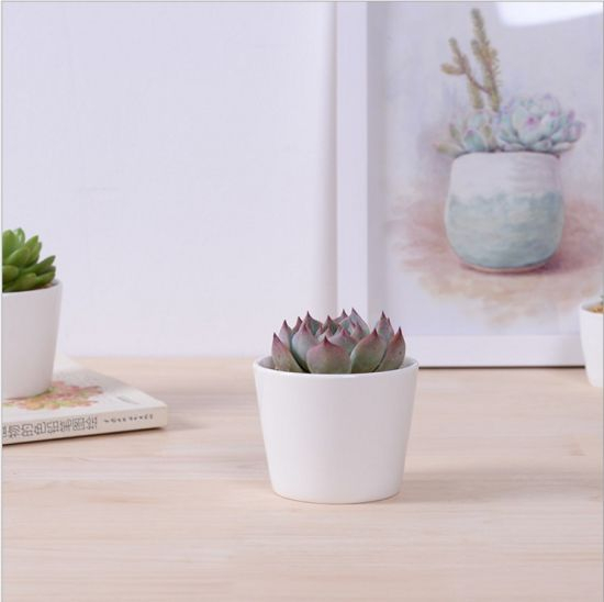 Grande Rodada Mini Vaso de Cerâmica Pequeno