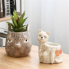 Vaso de Cerâmica Animal Design